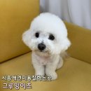 그루밍이즈 이미지