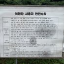큰마당캠핑장 이미지