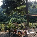 [캠핑] 4.진도 카멜리아힐즈(5월 셋째주)