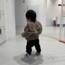 별토끼 | 돌아기 국립민속박물관 어린이박물관 관람 후기 - 달토끼와 산토끼, 총총 별이 빛나는 밤