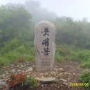 대이목장 티스토리
