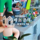 카페인 분재 이미지