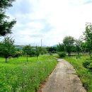 만세IC교