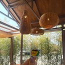 초당본점 | 강릉디저트맛집 : 쵸딩 초당옥수수 푸딩 카페 강릉본점 솔직후기