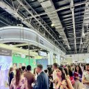 이스트월드 이미지