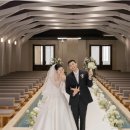 1108 | 보테가마지오 본식 스냅 : 스냅1108호 당일 계약 후기 + 아이폰스냅