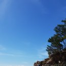 대부해솔길 4코스 이미지