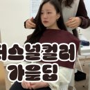 제이앤케이디지털타워 | 퍼스널컬러 가을딥, 먼지나방 스토그래피 진단 후기 2편 브이로그