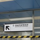 원주DB vs 서울SK 2025년 3월 14일 경기 결과, 직관 후기 학생체육관 탁자석 301 뷰 푸드트럭