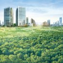 서초오피스빌딩 이미지