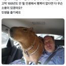 진짜 오카시이…🫰🏿🫀