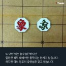 골프리더 이미지