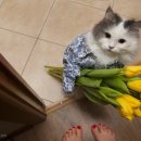 주스토리 이미지