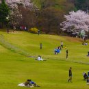 사람사는 이야기 이미지