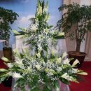 호산나교회 이미지