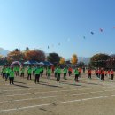 군서초교 병설유치원 이미지