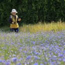 양정공원 이미지