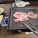 돼지한마리 이미지