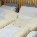 임산부바디필로우 추천, 만삭임산부 꿀잠템 사용후기 &#39;일상유희나비형바디필로우&#39;