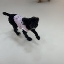 멍데이유치원