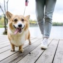 힐스타운 동물병원 이미지