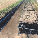 서수농장 이미지