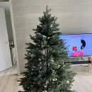 신혼집 첫 트리 🌲 디오트리 무장식 카키그린 160cm 후기 크리스마스 트리 추천 내돈내산