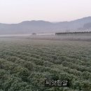 서리농장 이미지