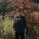 백두대간로 이미지