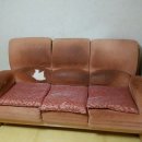 창원쇼파