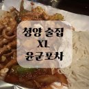 윤군 | 청양술집 엑스라지 xl , 윤군포차 후기