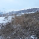 내판3리 마을회관 이미지