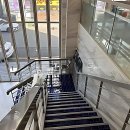 청계동물약품 | 머리 산성비 맞았나? 내 머리 꼬라지 보고 나도 모르게 발걸음 jerked