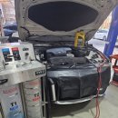 애니카랜드 서구점 이미지