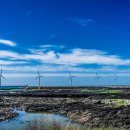 신창싱계물 이미지