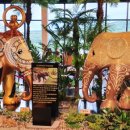 용인스타일 이미지