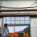 (주)햇살팜 이미지