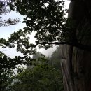 창우목장 이미지