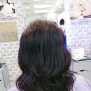 준호프로헤어 이미지