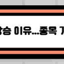 에스엔오토 네이버블로그