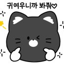 순환로 226번길 이미지