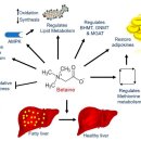 아이봄약국 이미지