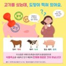 四字成語 총정리 ㄷ 296 도체현수방법~도출일원