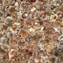 대경농장2 이미지