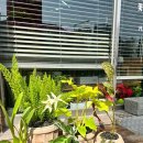 동구꽃백화점 이미지