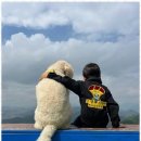 단양하늘꿈 이미지