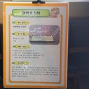 호동 초등학교 병설유치원 이미지