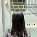 압구정 로데오 미용실 추천 매직 C컬 아라알레스 세령디자이너