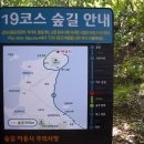 석모도상주해안길 이미지