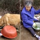 해탈, 그 이후의 이미지